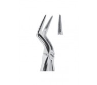 Extracting Forceps